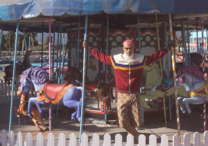 person human amusement park horse animal mammal carousel theme park